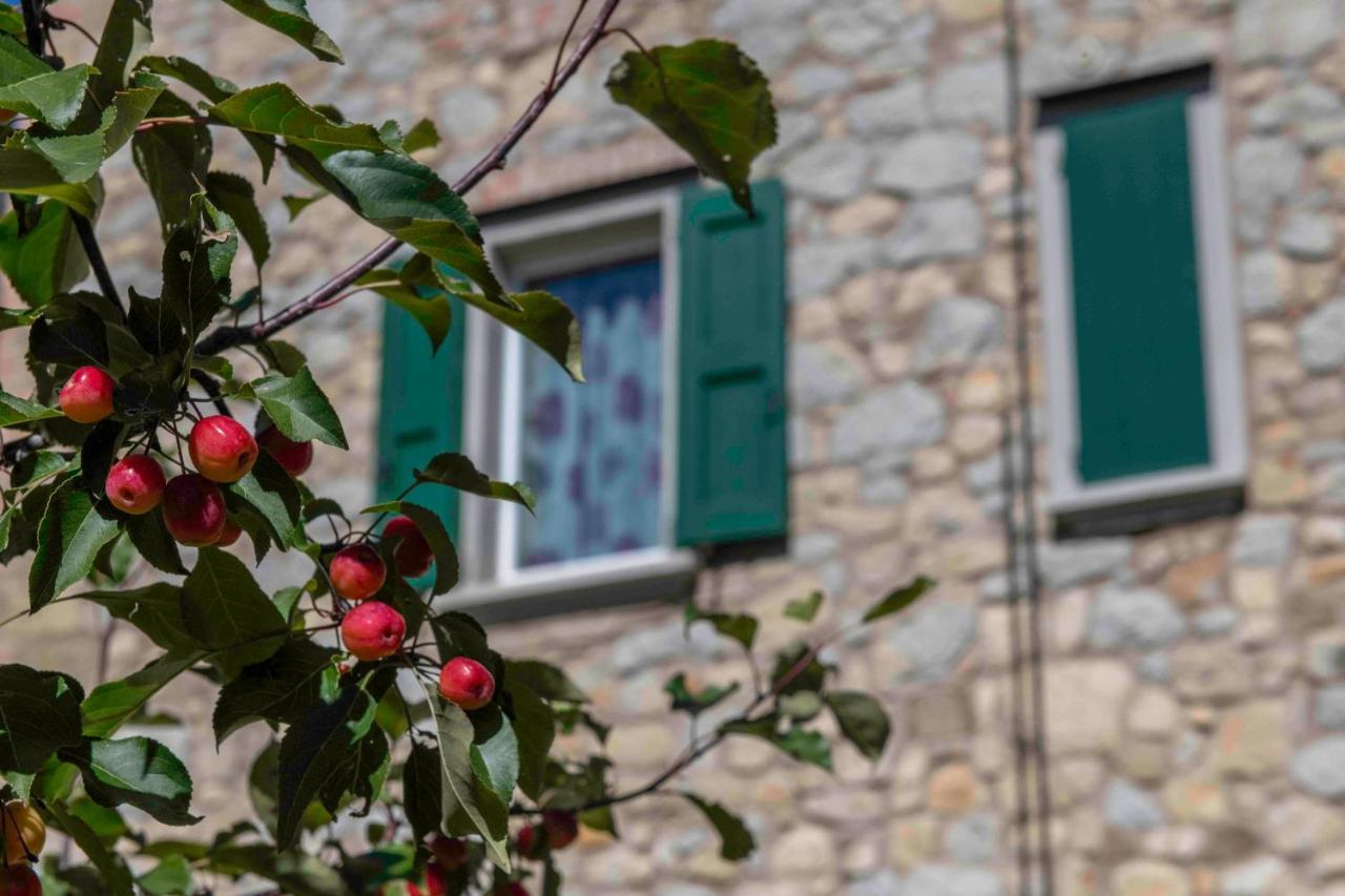 Podere Pratizzoli Tole Zewnętrze zdjęcie